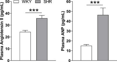 Transcriptome Analysis Reveals Downregulation of Urocortin Expression in the Hypothalamo-Neurohypophysial System of Spontaneously Hypertensive Rats